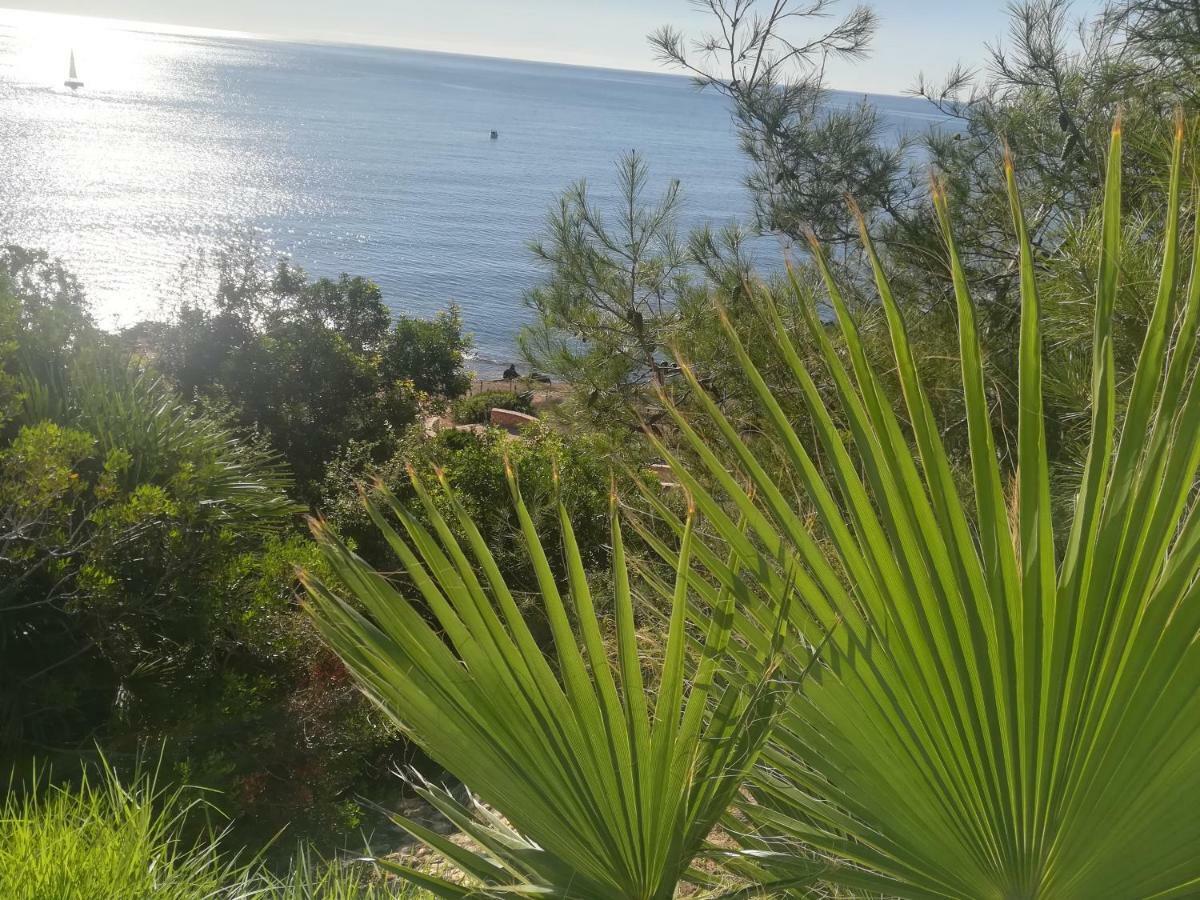 Cabo Roig Bellavista III Apartman Kültér fotó