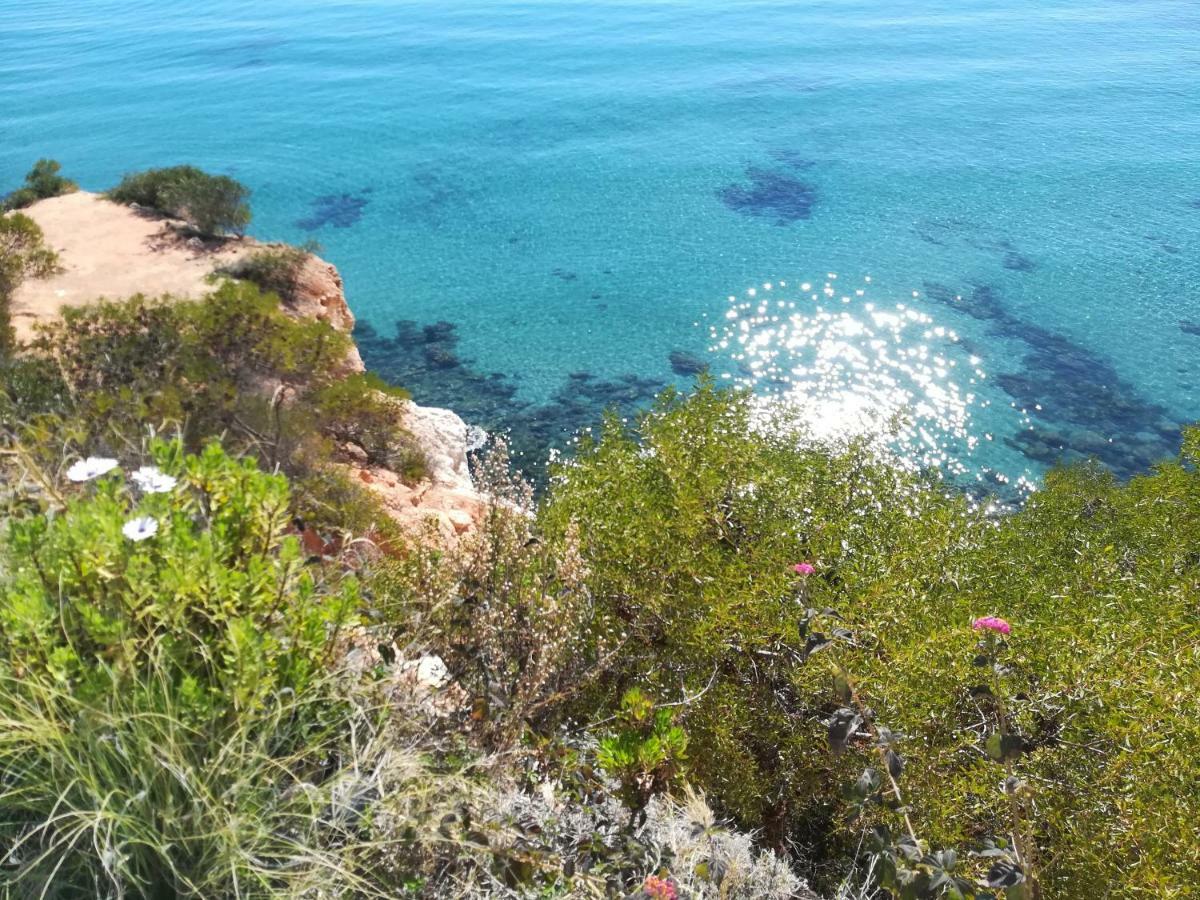 Cabo Roig Bellavista III Apartman Kültér fotó