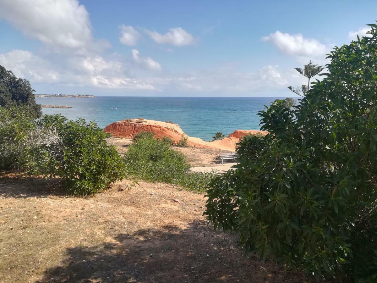 Cabo Roig Bellavista III Apartman Kültér fotó